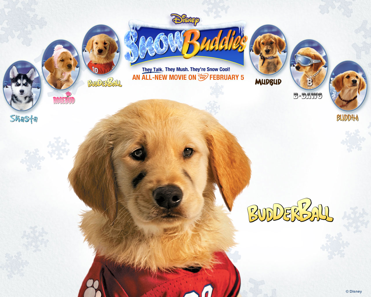 snow buddies budderball