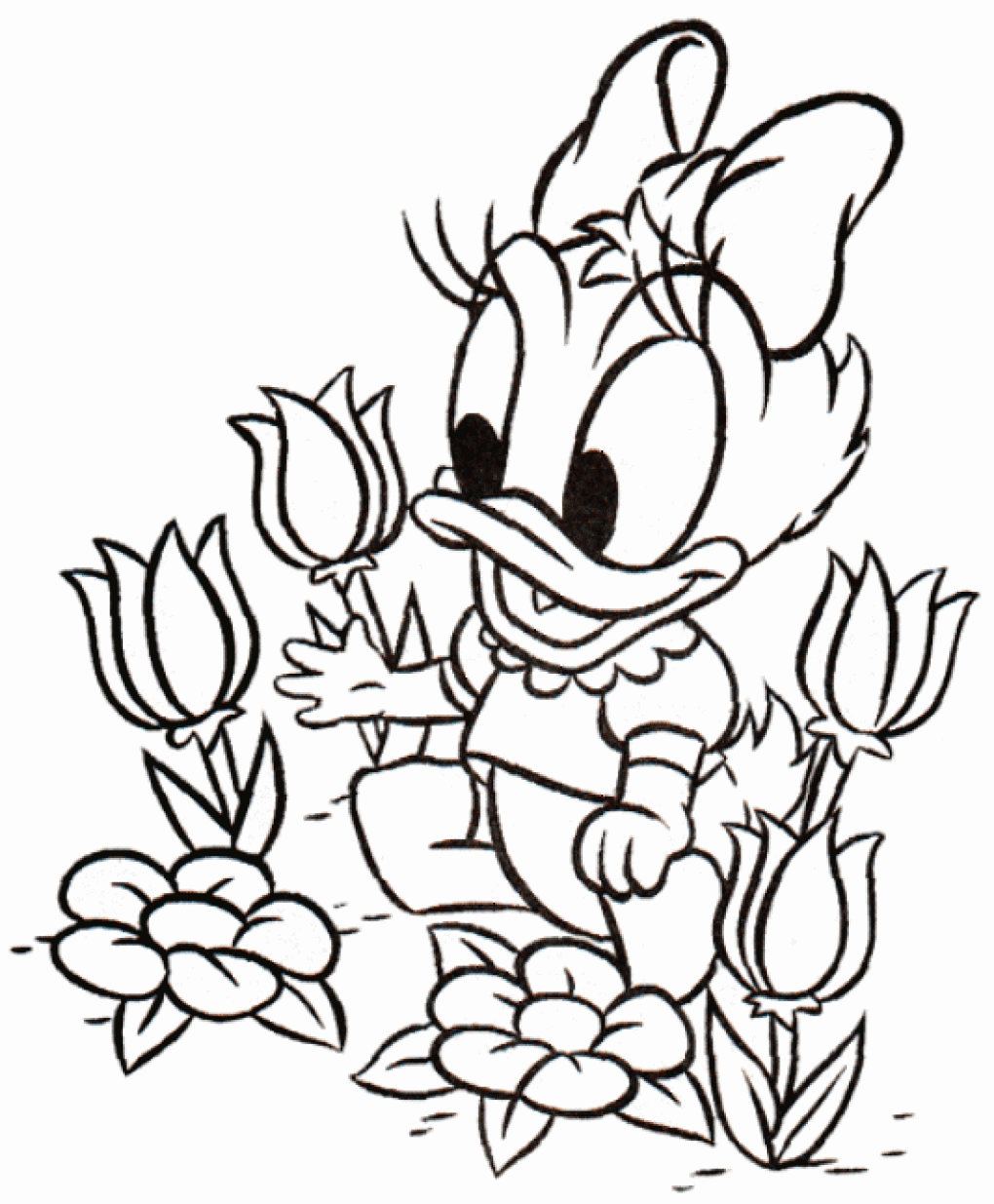 baby daisy coloring