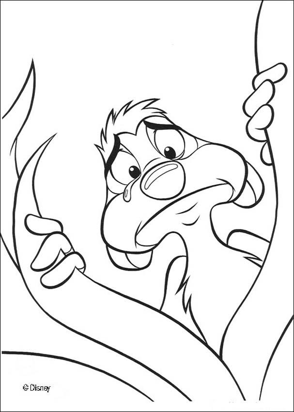 timon-colouring