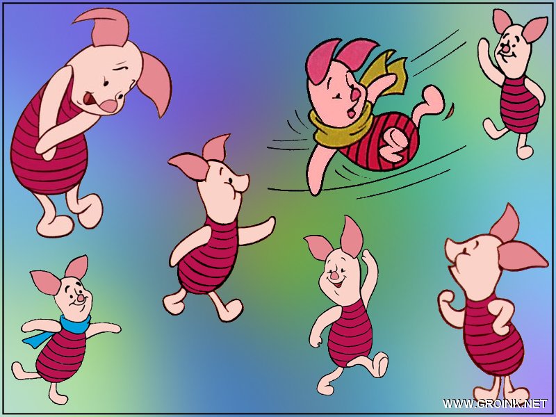 piglet collage