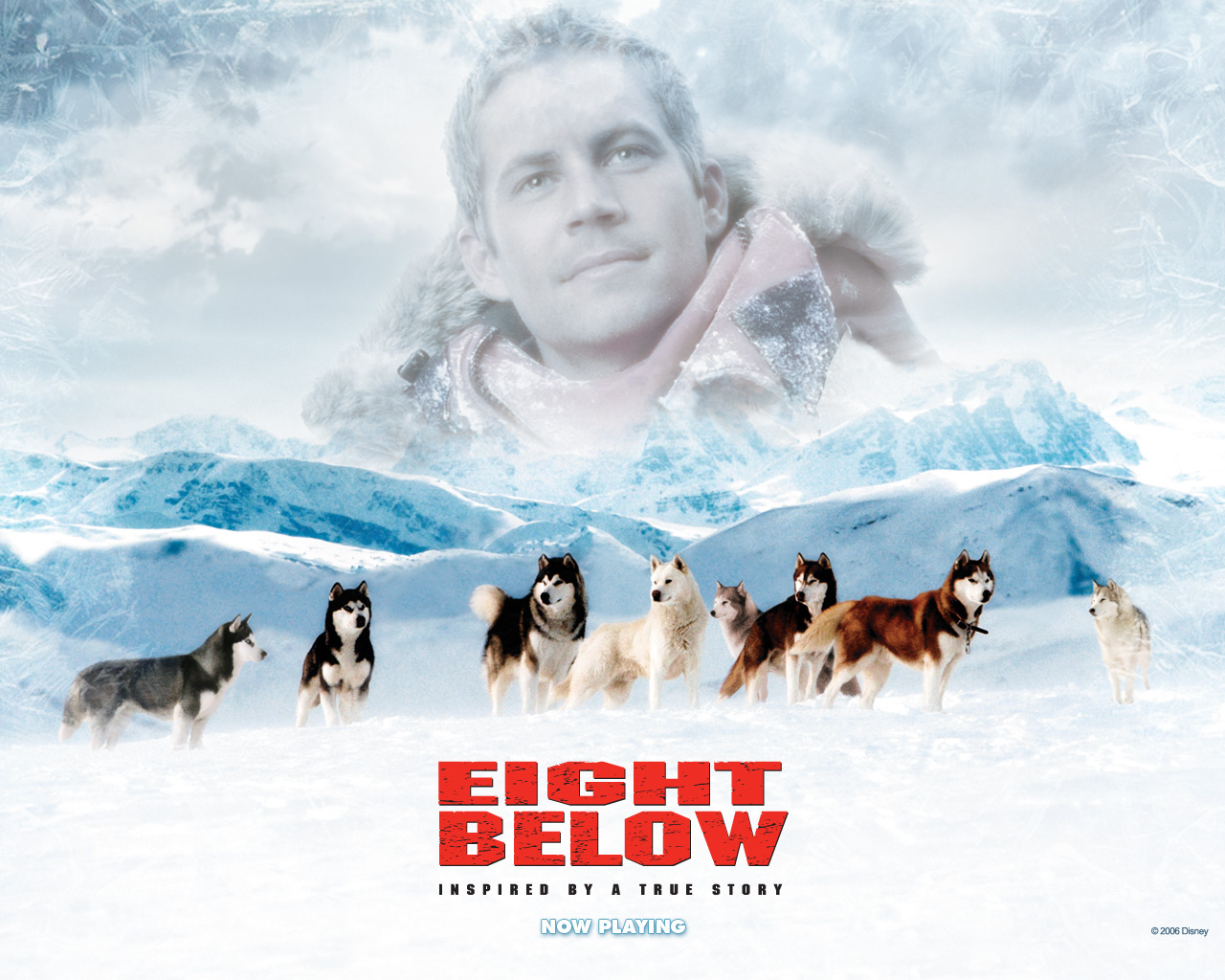 Eight Below-wallapper