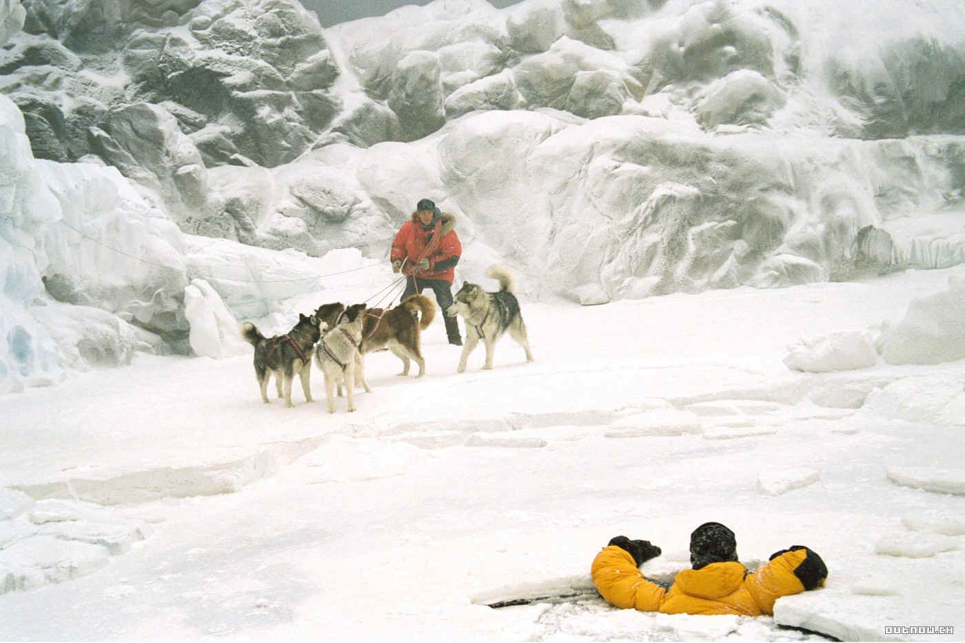 Eight Below