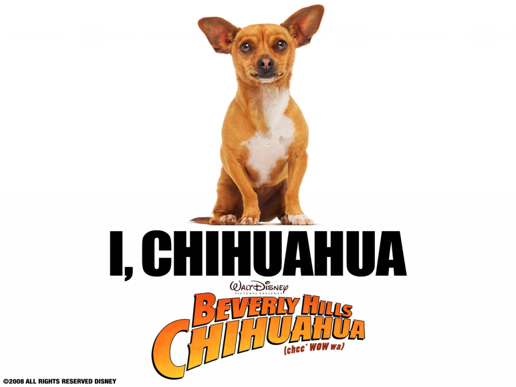 disney-Beverly-Hills-Chihuahua-1024x768