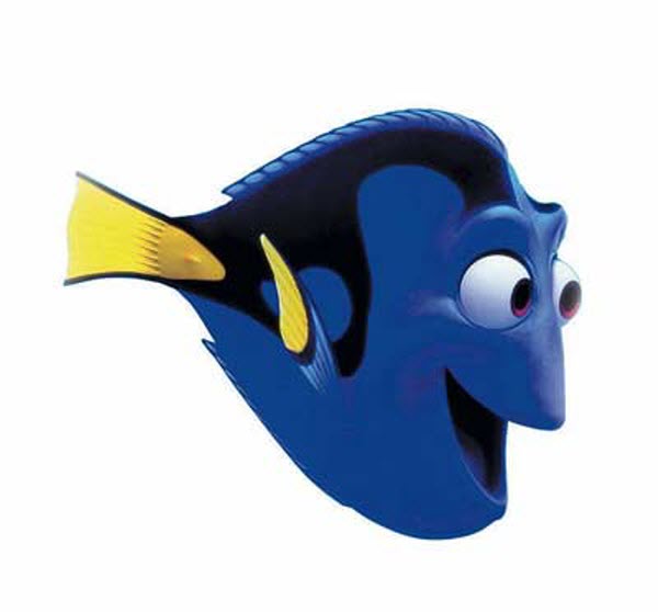 dory