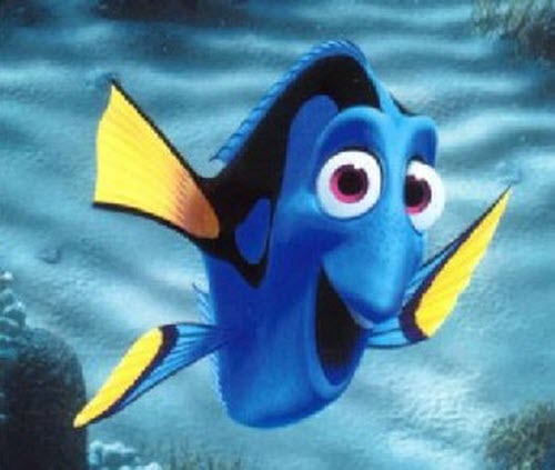 dory