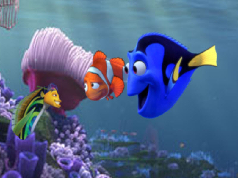 marlin-dory-oscar-wallpaper