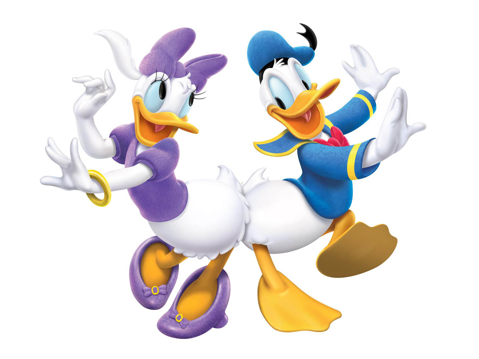 Donald Duck daisy