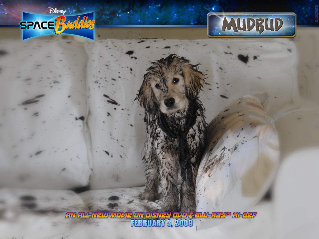 mudbud 1024x768