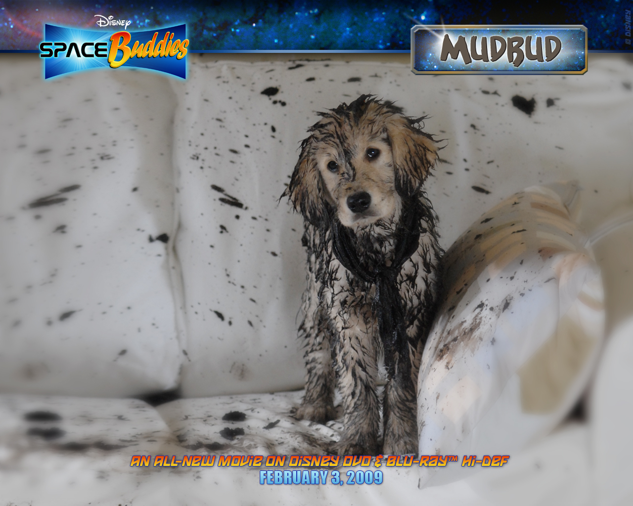 mudbud 1280x1024