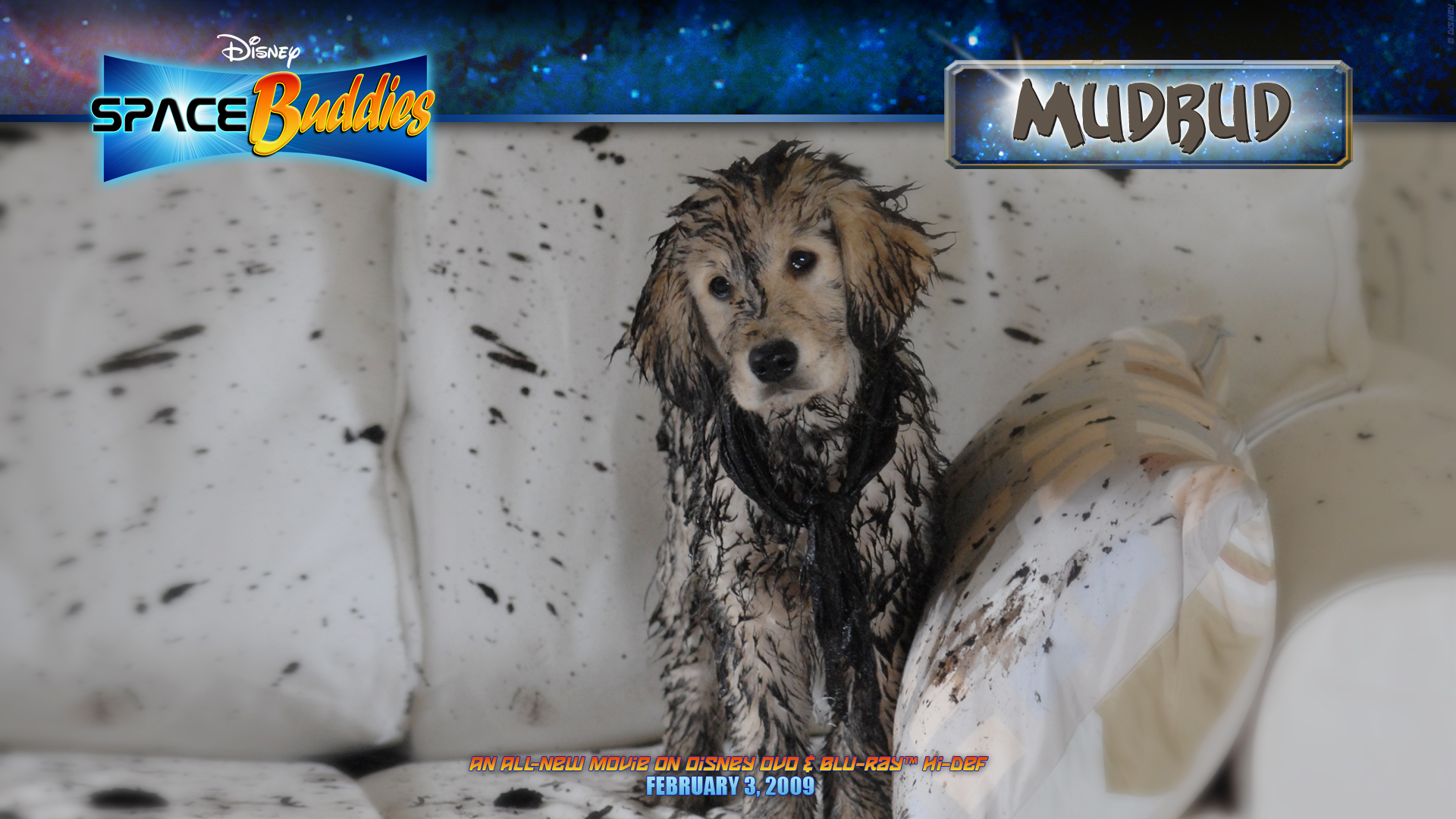 mudbud 1920x1080