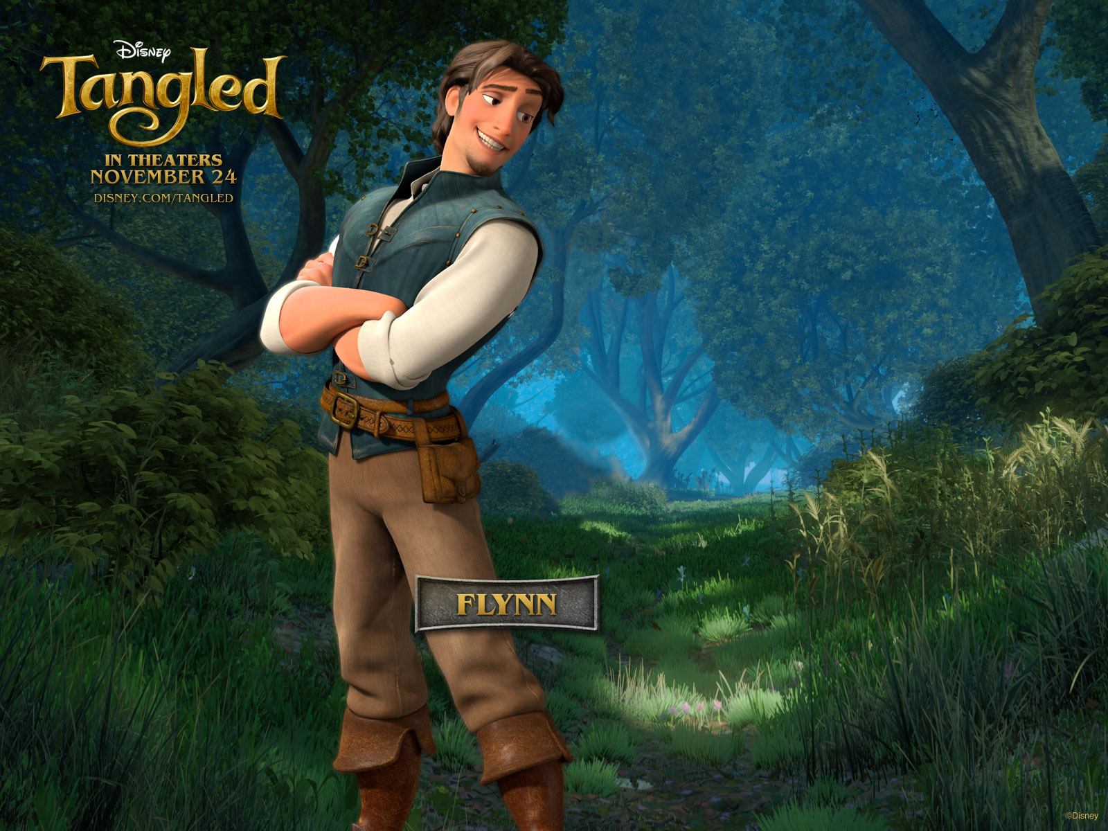 tangled flynn 1600