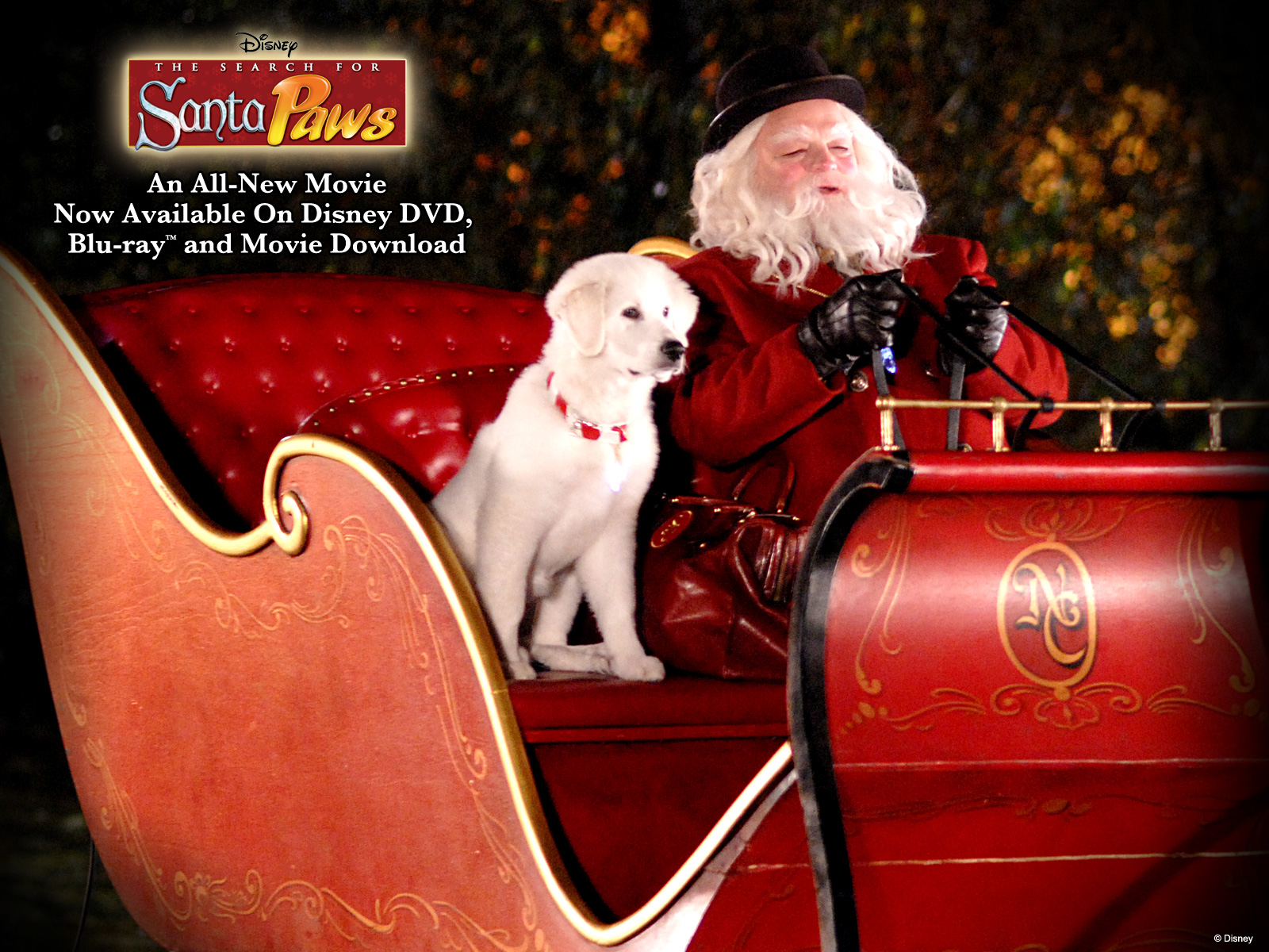 santaPaws santa-claus 1600