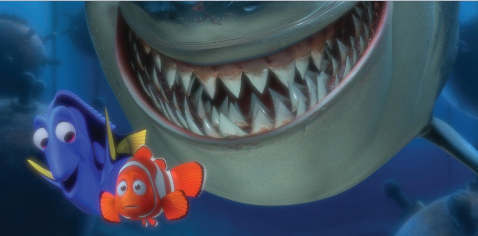 nemo bruce