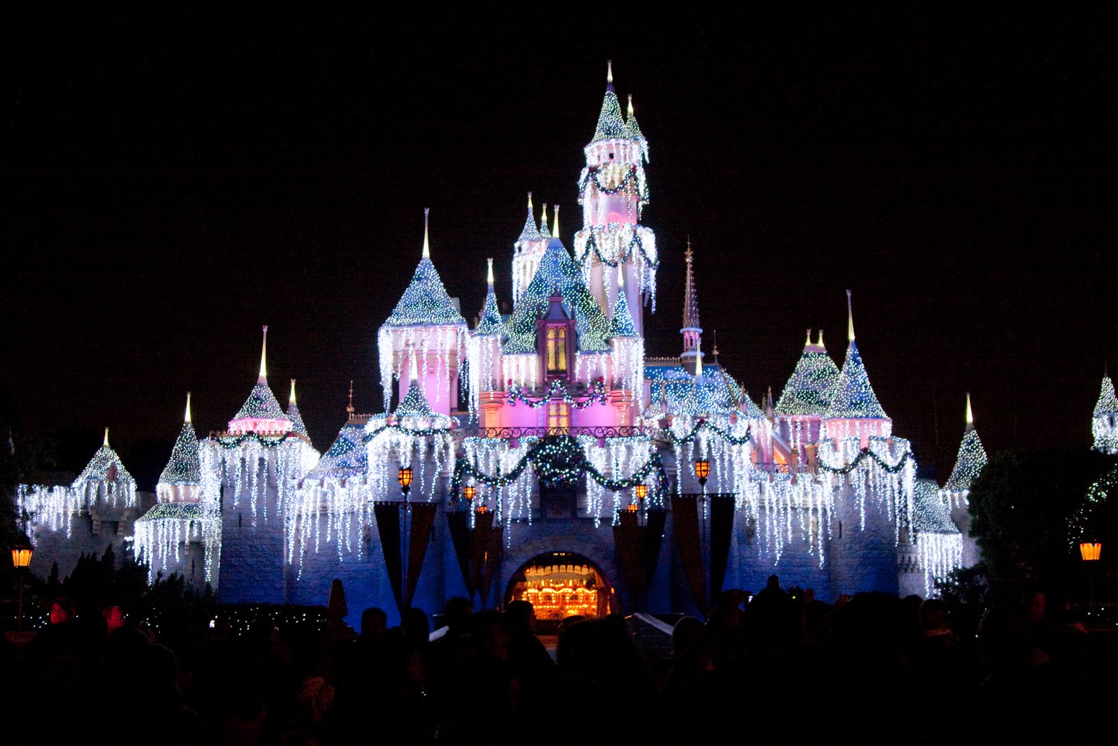 Disneyland Holiday