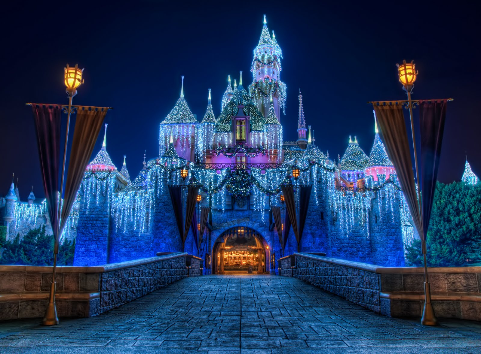 Disneyland night Castle