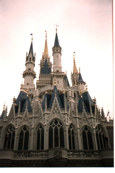 disney castle rear view