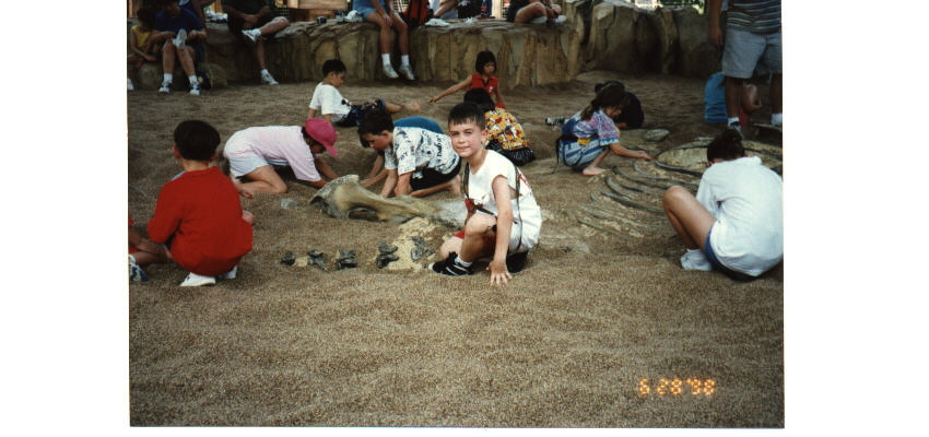 disney Dino Dig