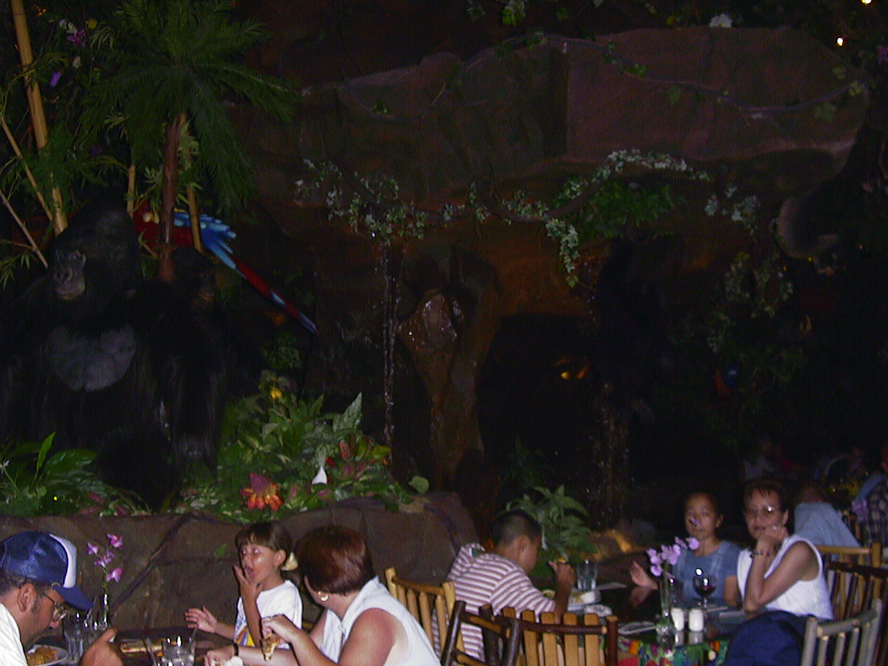 disney rainforest cafe