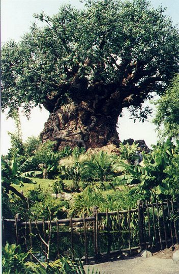 disney tree of life