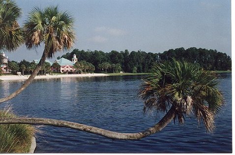 disney Caribbean Beach