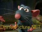 Ratatouille