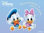 Baby Donald Duck and Daisy Duck