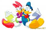 Donald and Daisy Duck free pix