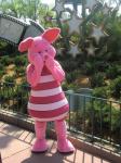 piglet mascot