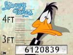daffy duck looney tunes