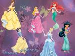 Disney Princess full cover