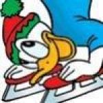 Donald Duck avatar